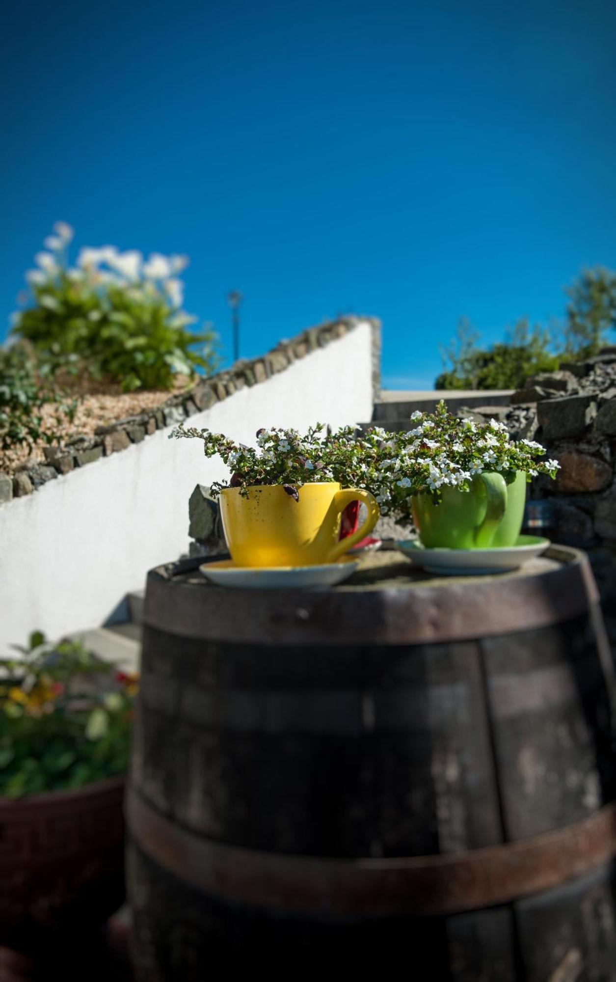 Grove House Bed & Breakfast Carlingford Exteriör bild