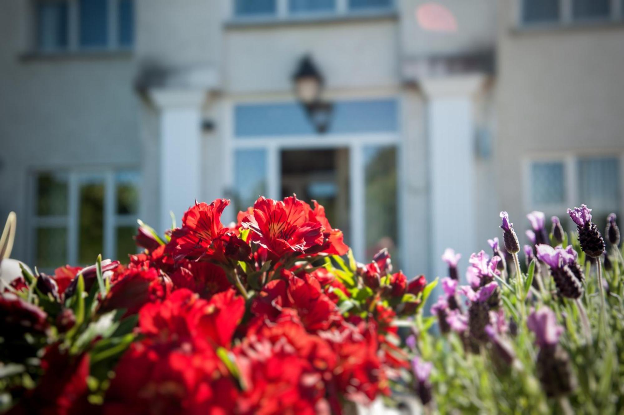 Grove House Bed & Breakfast Carlingford Exteriör bild