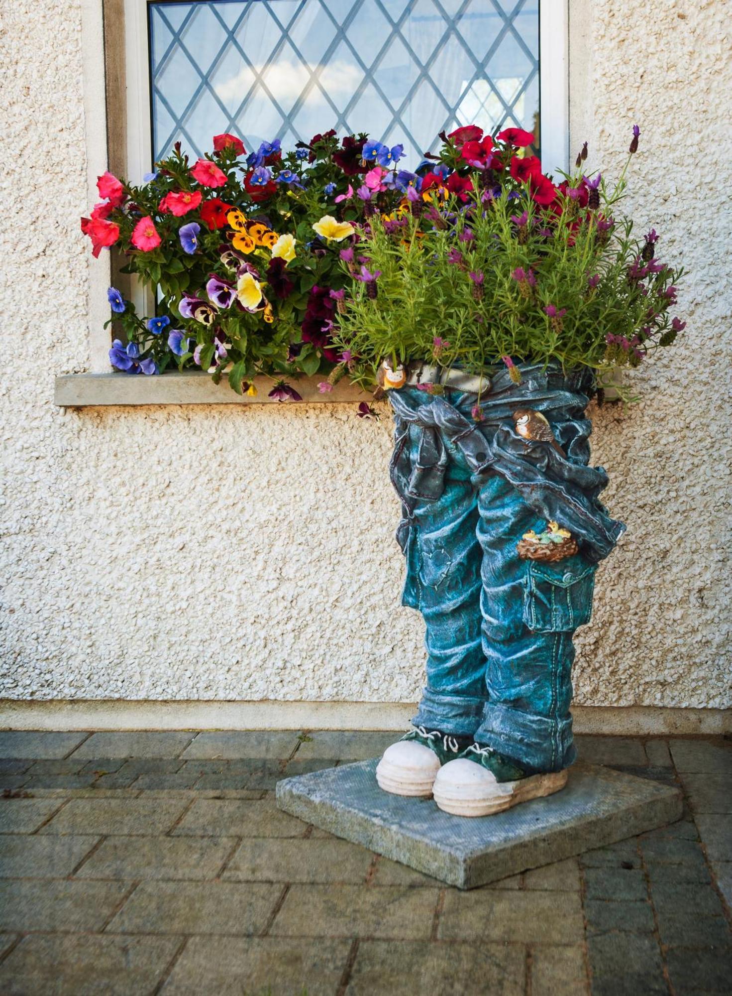 Grove House Bed & Breakfast Carlingford Exteriör bild