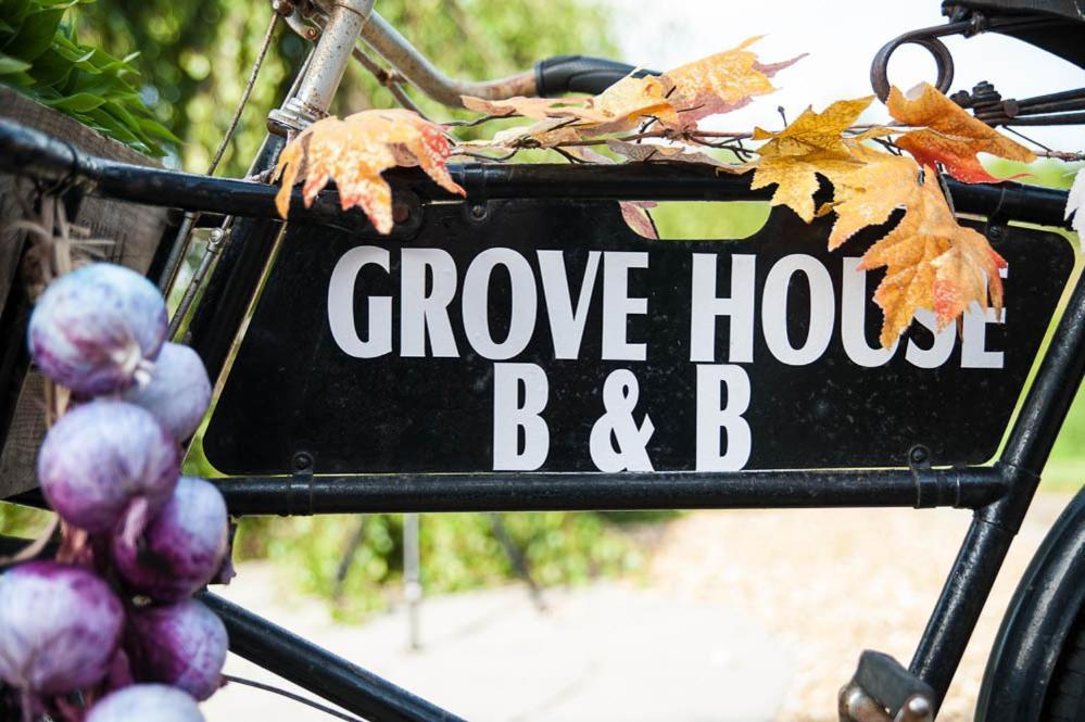 Grove House Bed & Breakfast Carlingford Exteriör bild